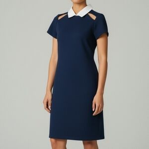 Zara Trafaluc Preppy Navy Cut-out Collar Dress